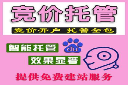 详解托管SEM竞价案例：精准定位客户群体